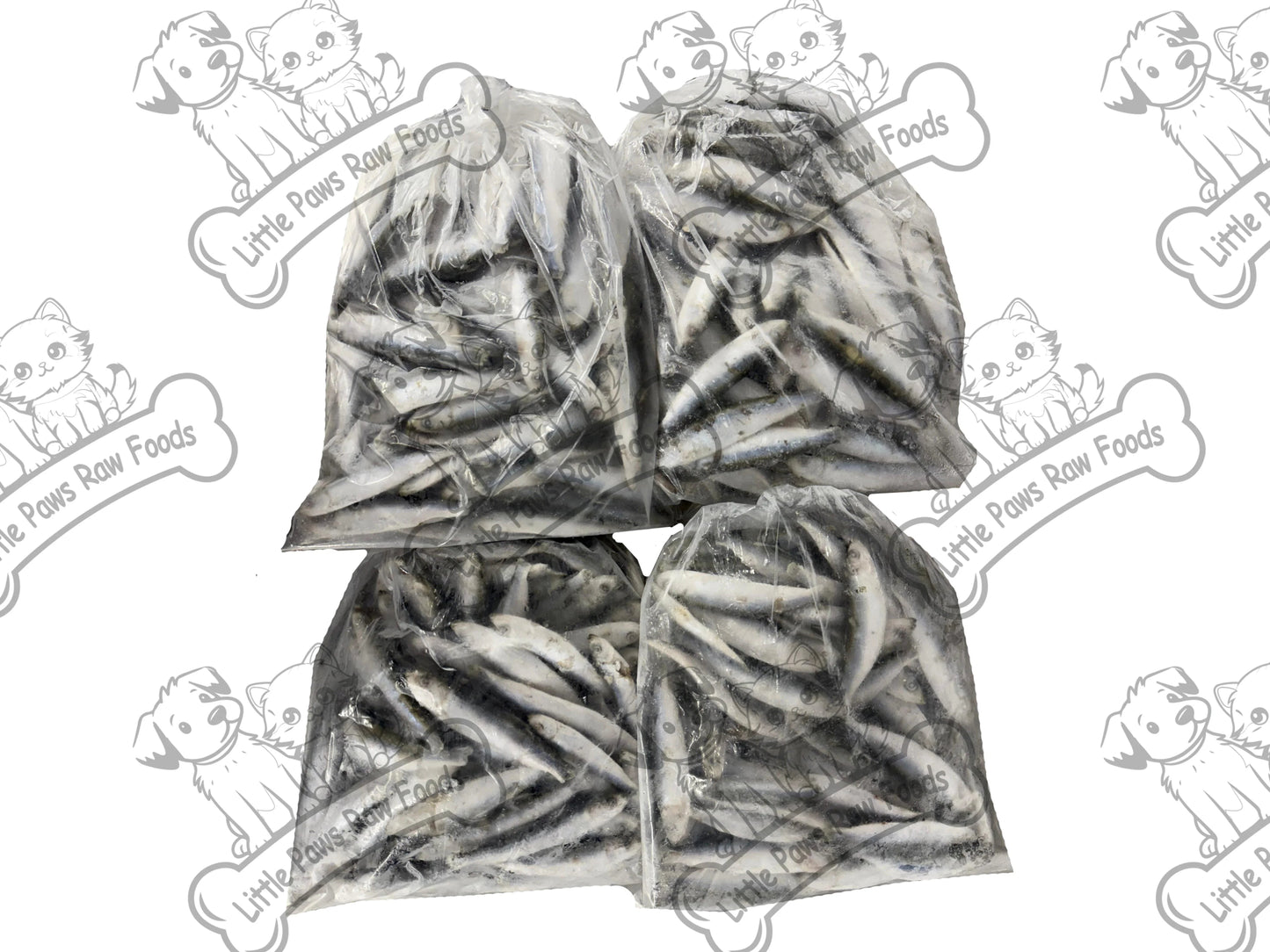 Frozen Baltic Sprats for Dogs and Cats in 3kg or 10kg Box - Little Paws Raw Foods