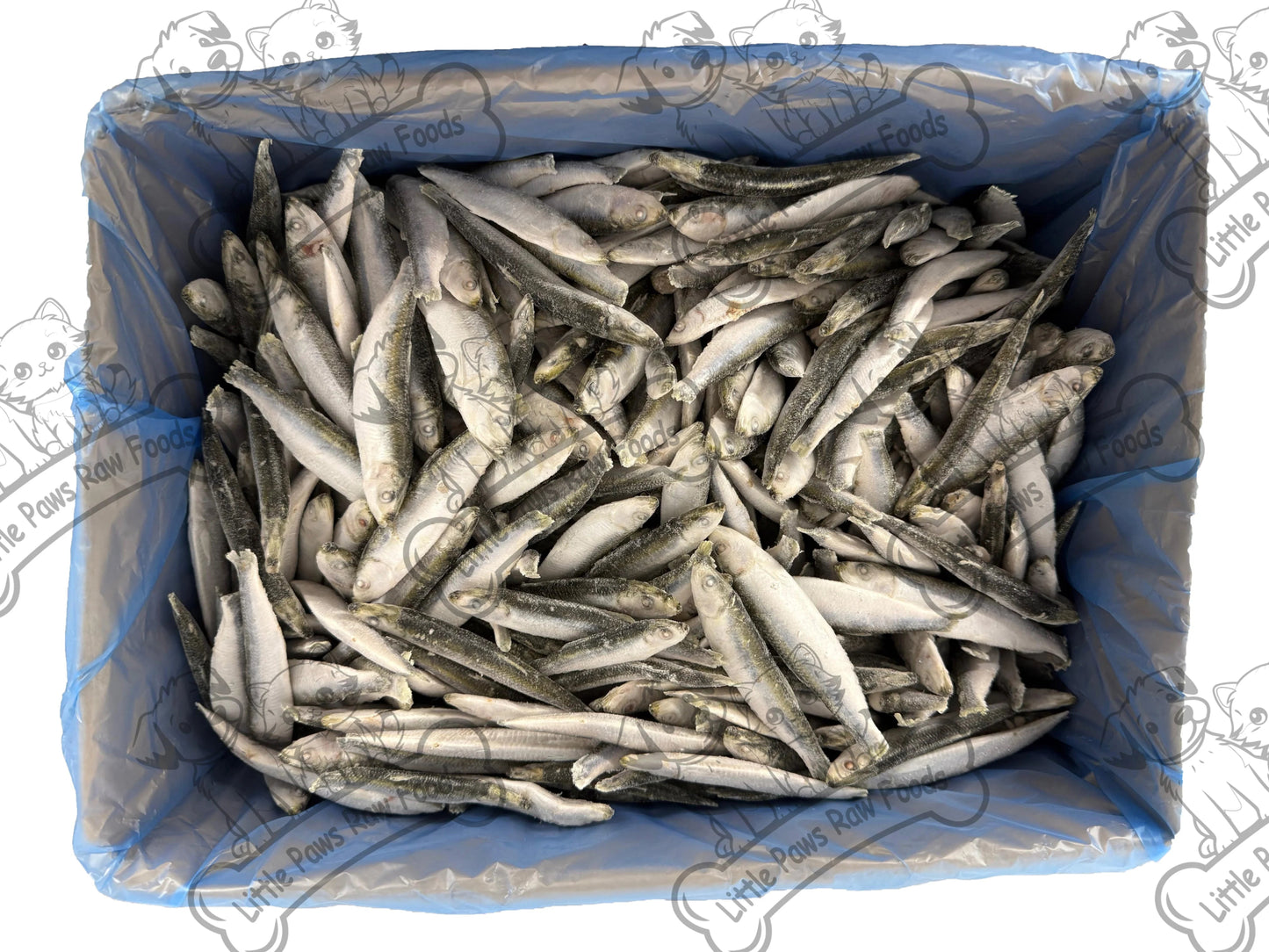 Frozen Baltic Sprats for Dogs and Cats in 3kg or 10kg Box - Little Paws Raw Foods