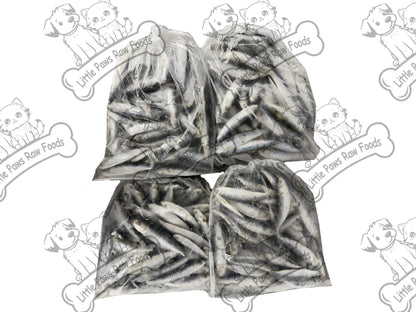 Frozen Baltic Sprats for Dogs and Cats in 3kg or 10kg Box - Little Paws Raw Foods