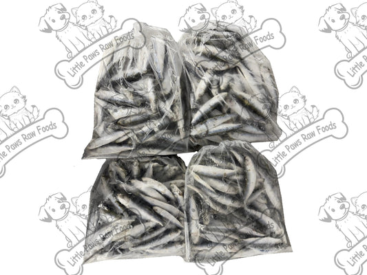 Frozen Baltic Sprats for Dogs and Cats in 3kg or 10kg Box - Little Paws Raw Foods