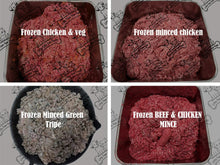 Frozen Variety Box Dog Food 500g Chubs 12kg Box - Little Paws Raw Foods
